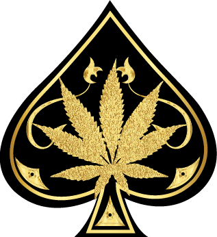 aceultraspremium.com
